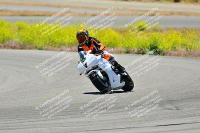 media/May-10-2024-2WTD (Fri) [[c88d7990af]]/Group C/Session 3-Turn 4 and 6/